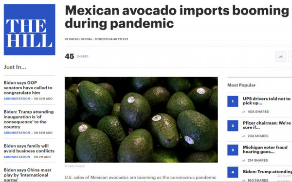 2020_avocado1.jpg