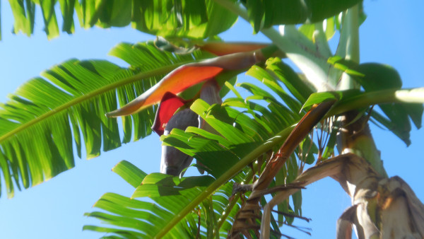 DSCN3966.JPG