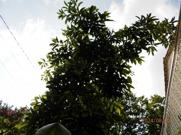 P8240024.JPG