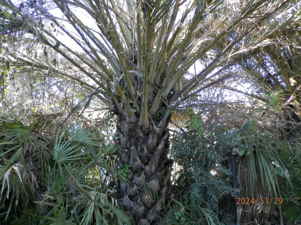 PB290014.JPG
