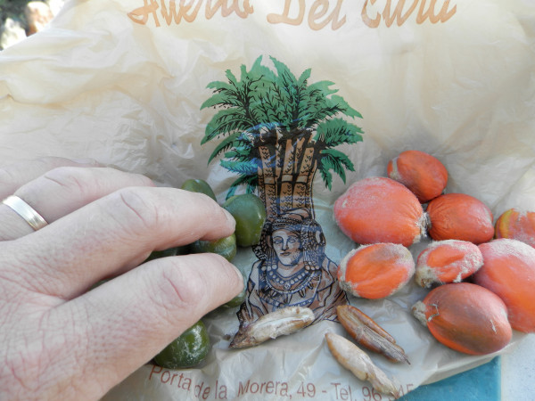 Septembre 2019 Alacant 281.jpg