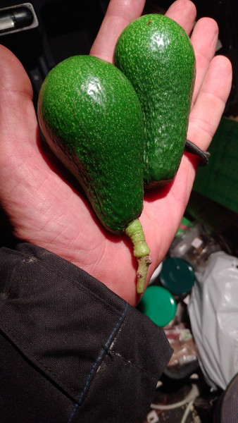 IMG-20241130-WA0016.jpeg