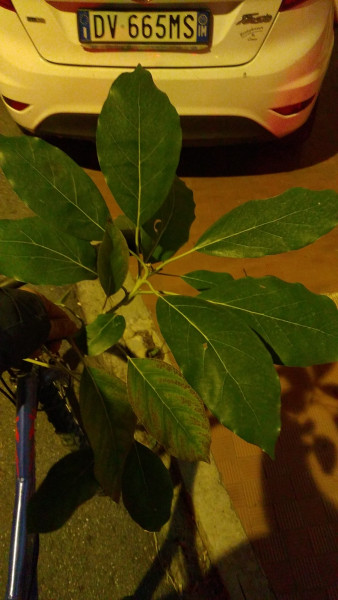 IMG-20241206-WA0023.jpeg