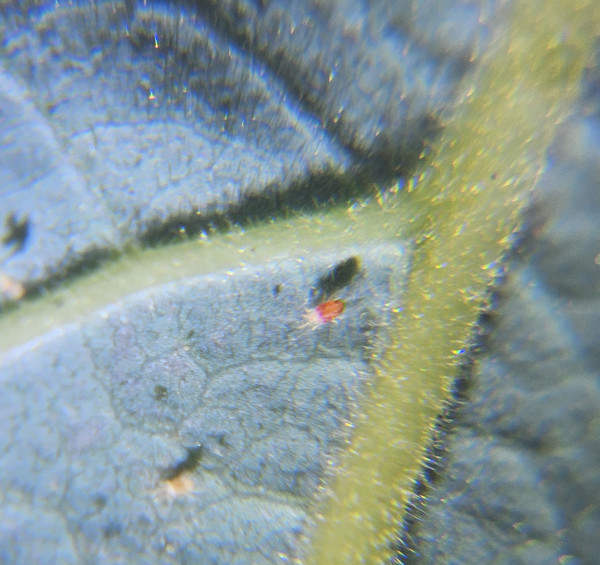 20251005_182401.jpg