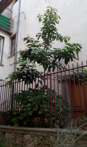 IMG_20211214_193358.jpg