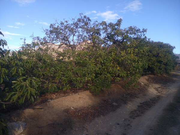 IMG_20220114_101850_380.jpg
