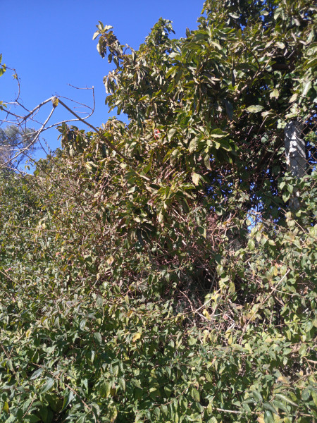 IMG_20220202_142109_872.jpg