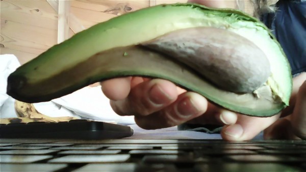 WIN_20230120_13_23_33_Pro.jpg (143.71 Kio) Consulté 28673 fois avocats arles