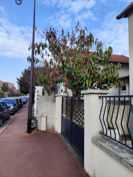 IMG20230224152954-compressed.jpg (2.4 Mio) Consulté 6064 fois avocatier massy, le 24 fevrier 2023