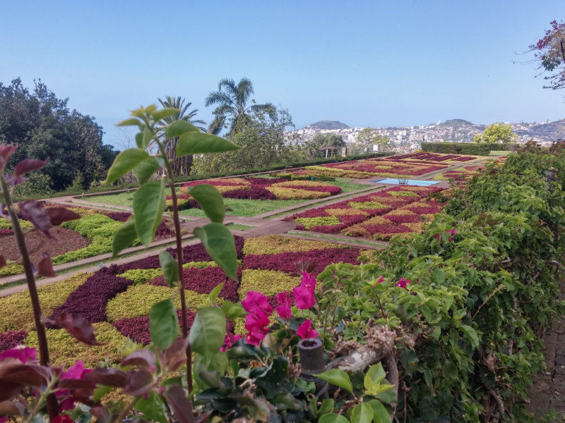 Jardins botaniques de Funchal