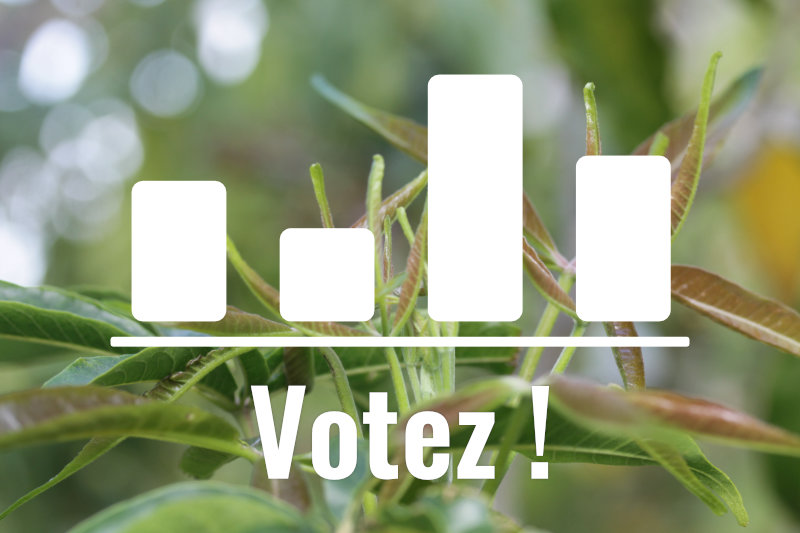 L’acclimatation de l’année 2024 !