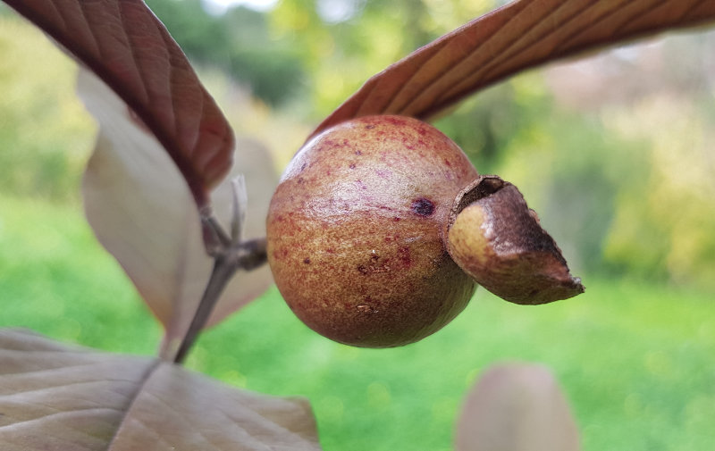 De riches discussions