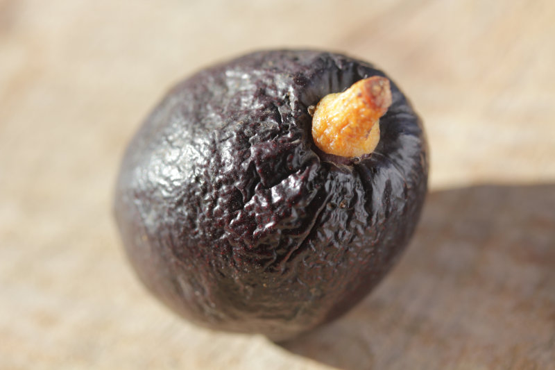 Comparatif d’avocats