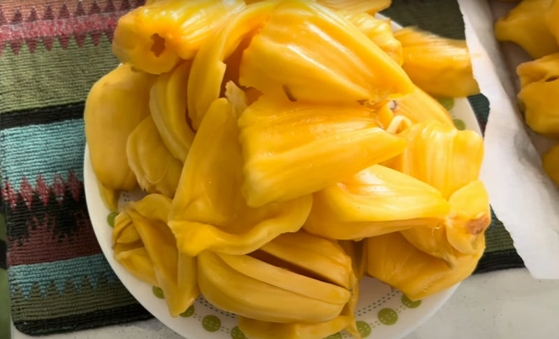 Jackfruit en agriculture syntropique