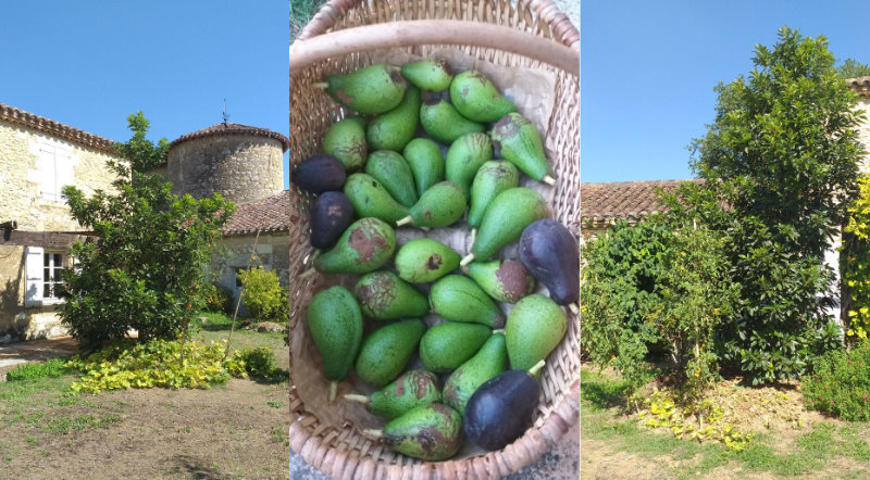 L’acclimatation de l’année !