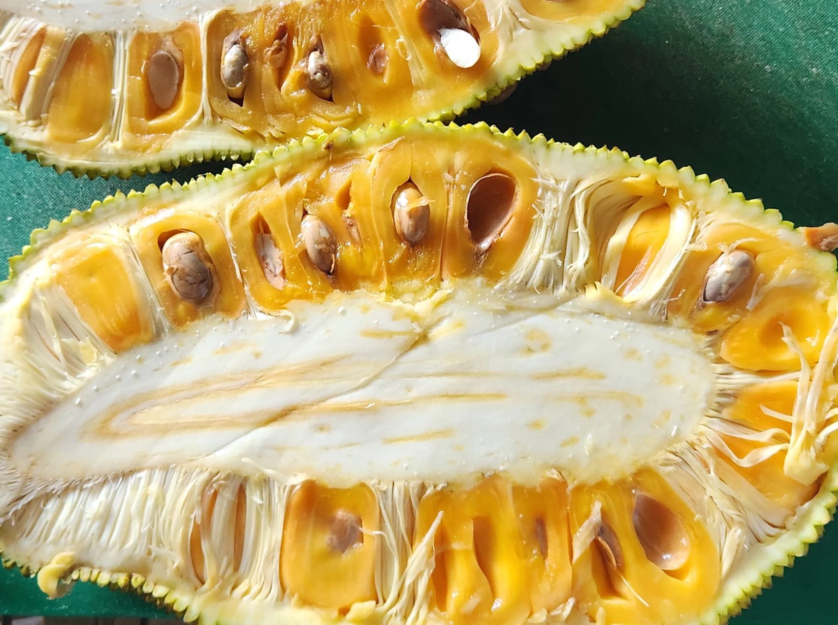 Ross Creek Tropicals