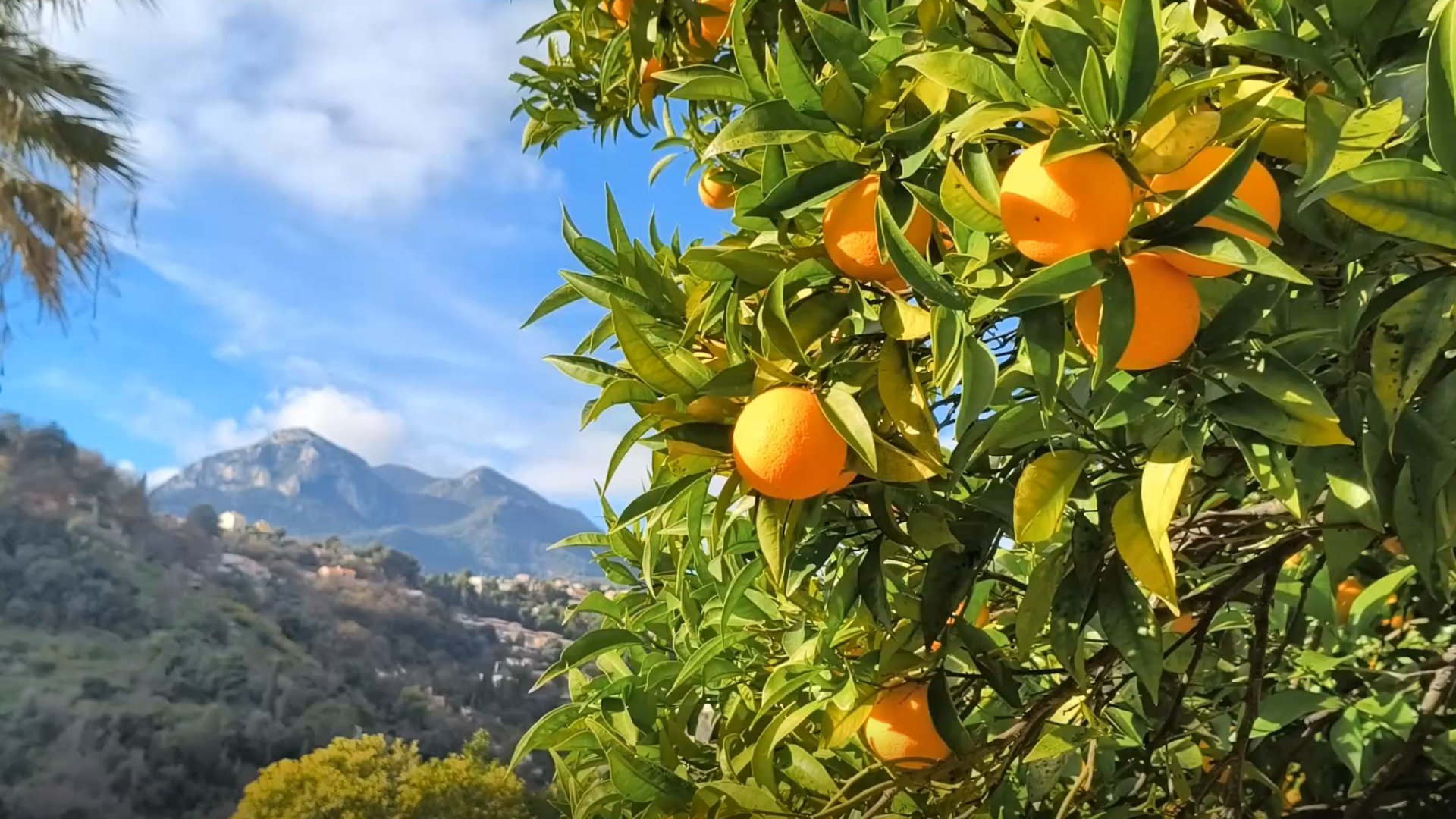 Du gel aux Deux Barmes ?