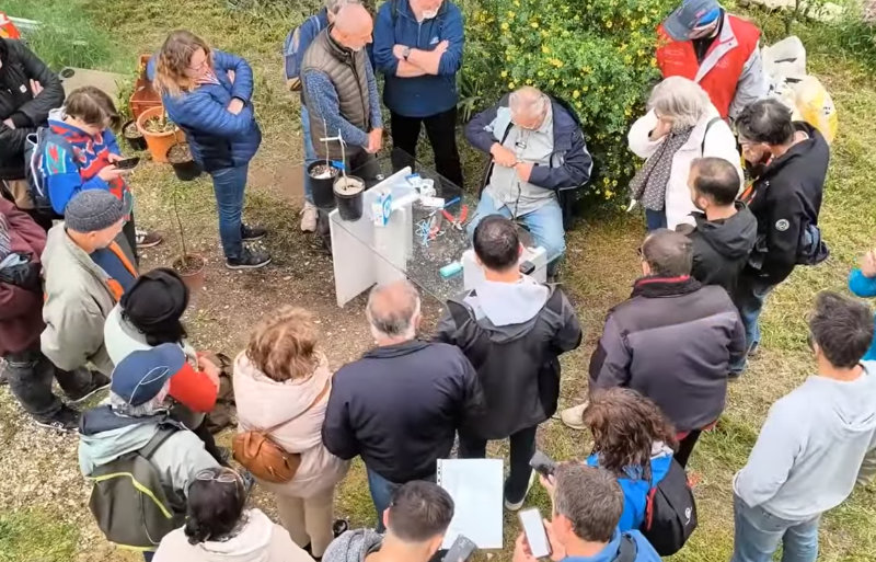 Atelier greffe d’agrumes