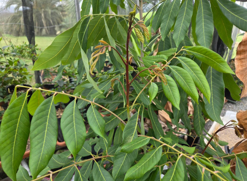 Bilan de l’hiver au Pays Basque