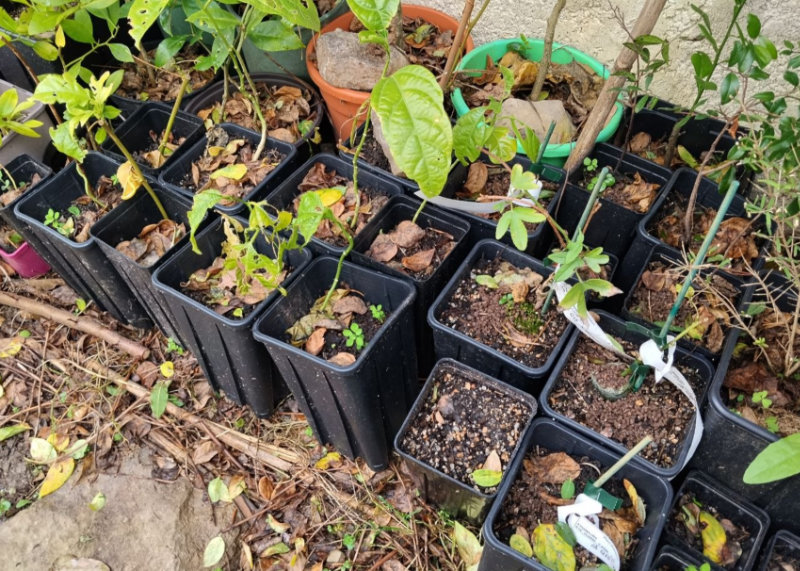 Bilan de l&rsquo;hiver en Vaunage (30)