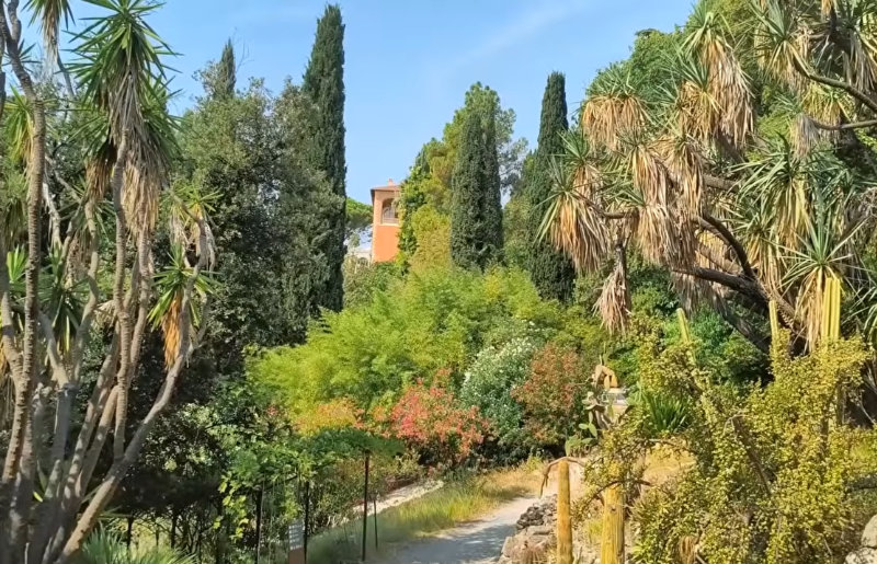 Petite histoire de l’acclimatation en Ligurie